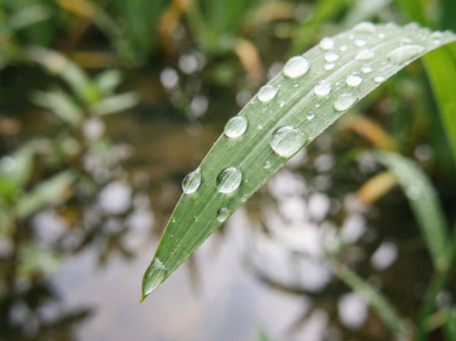 MEA官方旗艦館 img 2506